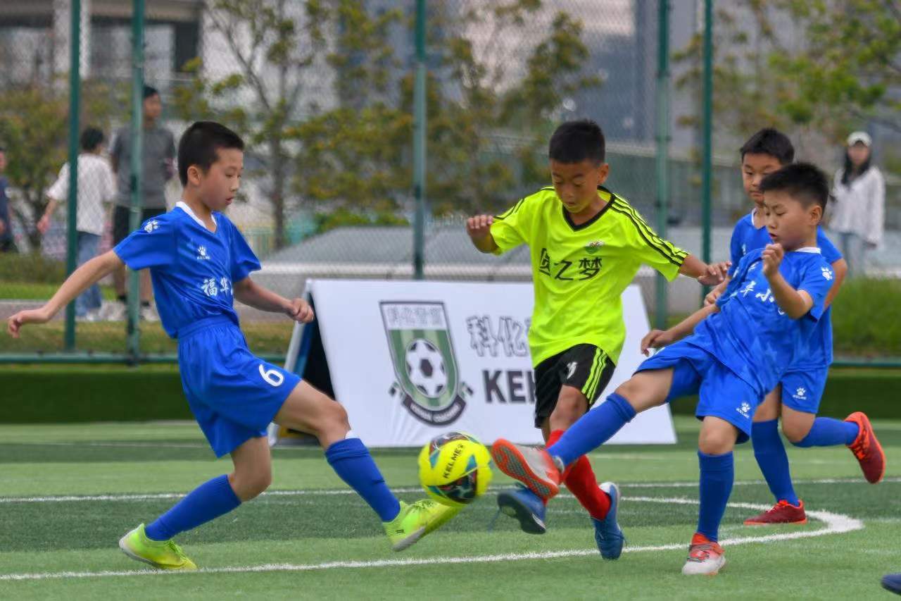 发了关于球 发了关于球