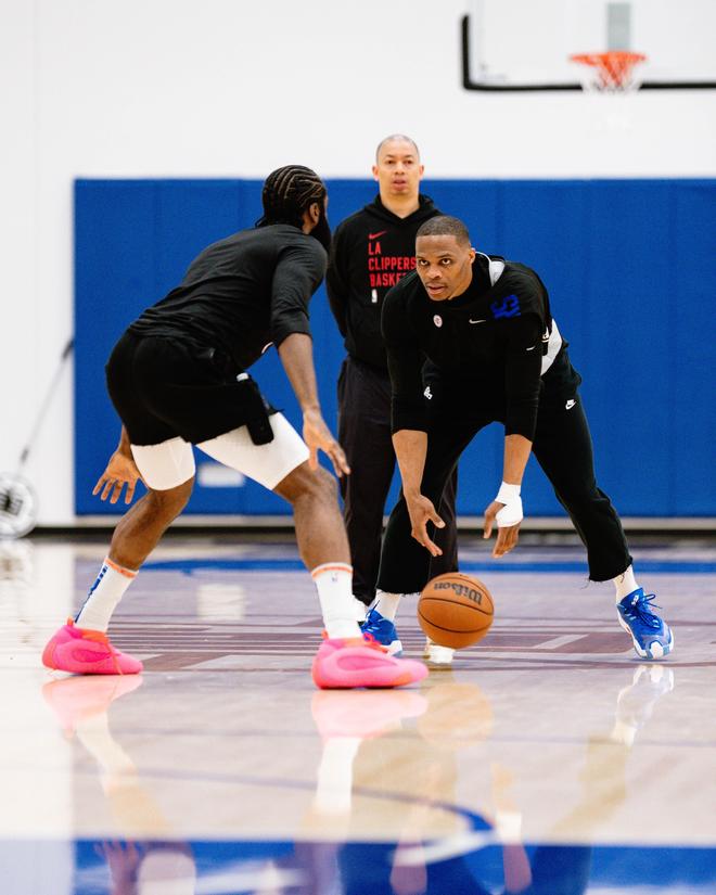 为什么不该 为什么不该